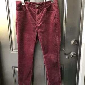 Loft Maroon Velvet-like Pants